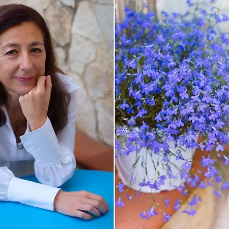 Nocleg ze śniadaniem Artemisia 3*