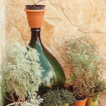 Bed & Breakfast Artemisia