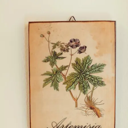 Bed & Breakfast Artemisia *